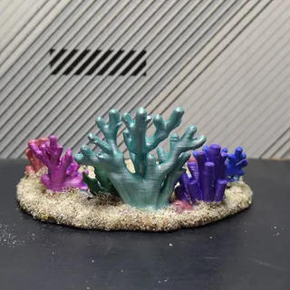 珍珠貝珊瑚海底花園 - Thumbnail