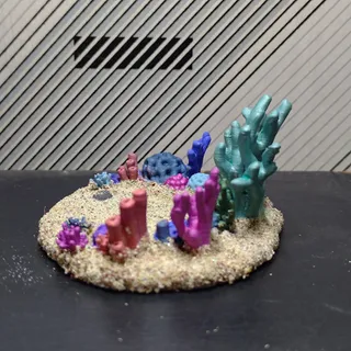 珍珠貝珊瑚海底花園 - Thumbnail