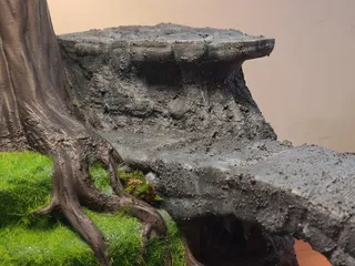寶可夢多境生態展示場 - Thumbnail