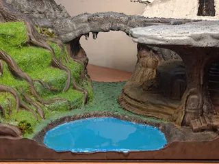 寶可夢多境生態展示場 - Thumbnail