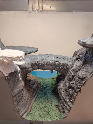 寶可夢多境生態展示場 - Thumbnail
