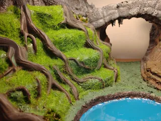 寶可夢多境生態展示場 - Thumbnail