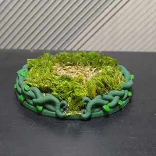 霸王花與臭臭花藤蔓花盆底座 - Thumbnail